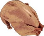 Pheasant